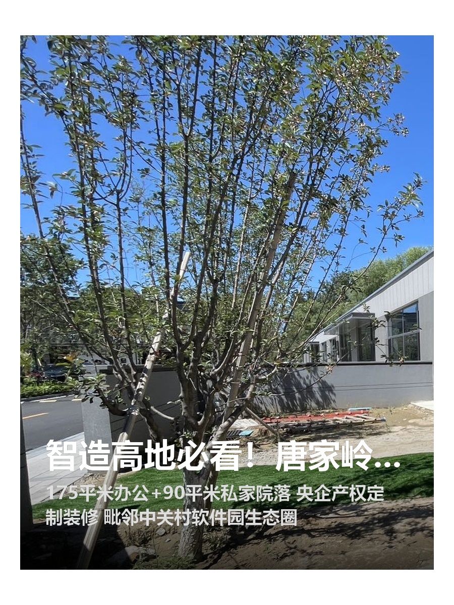 智造高地必看！唐家岭双院落静待远见者