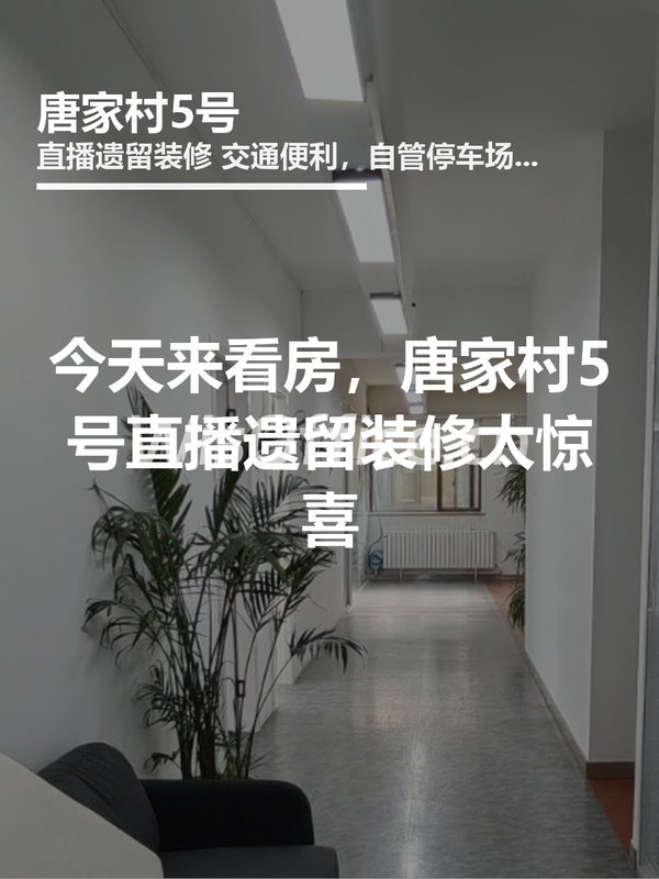 唐家村5号248㎡实景图