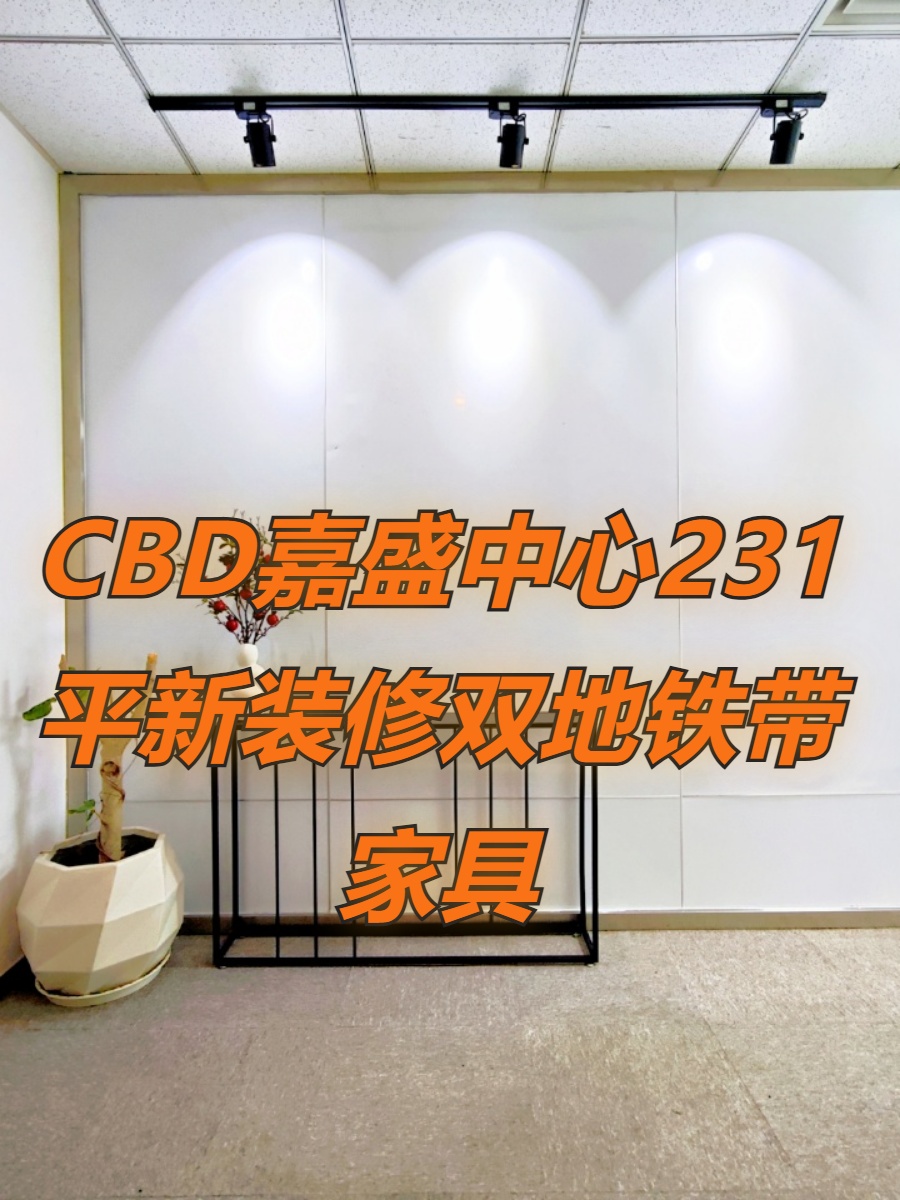 CBD现房嘉盛中心231平双地铁带家具