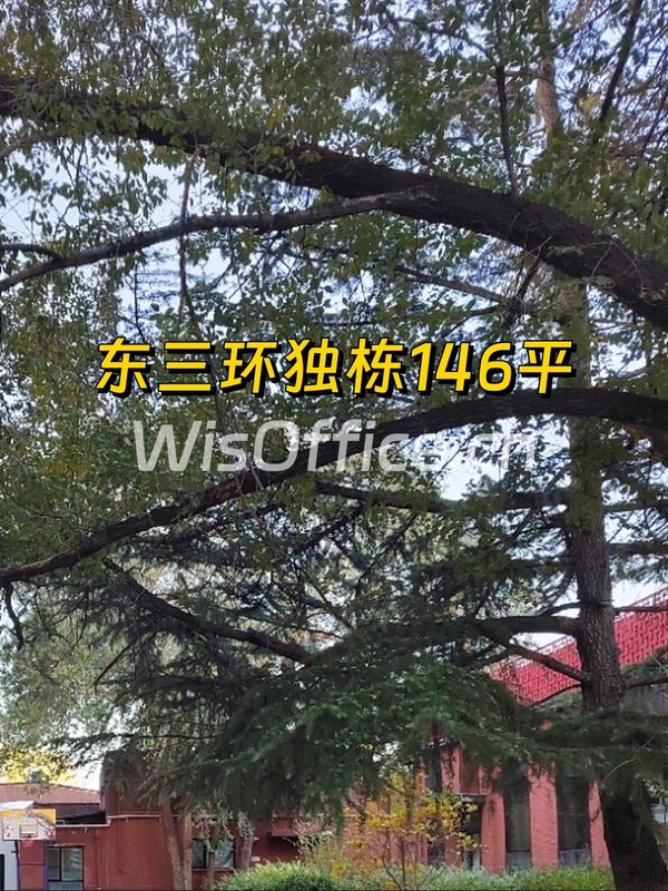 国贸庆丰公园旁独栋146平 - 首图