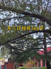 国贸庆丰公园旁独栋146平 - 缩略图 1