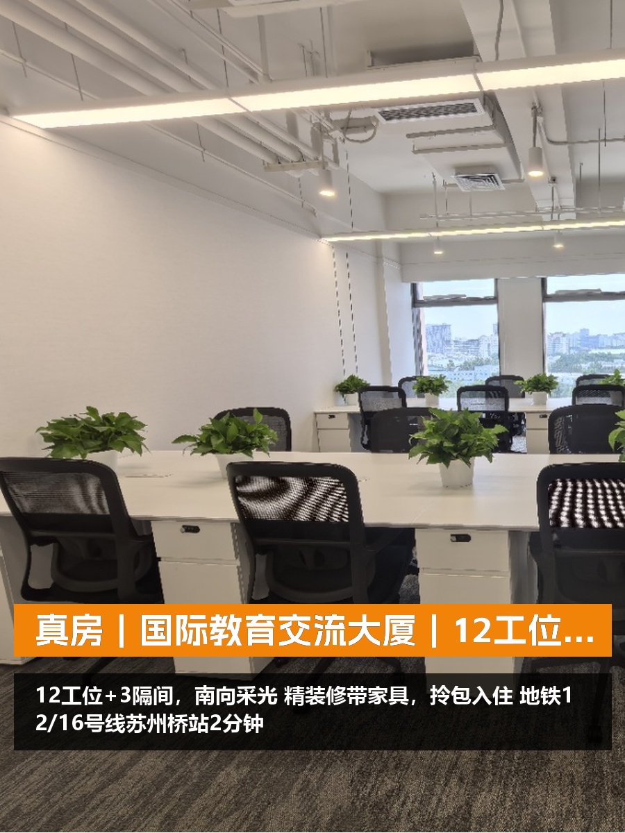 国际教育交流大厦办公室实景