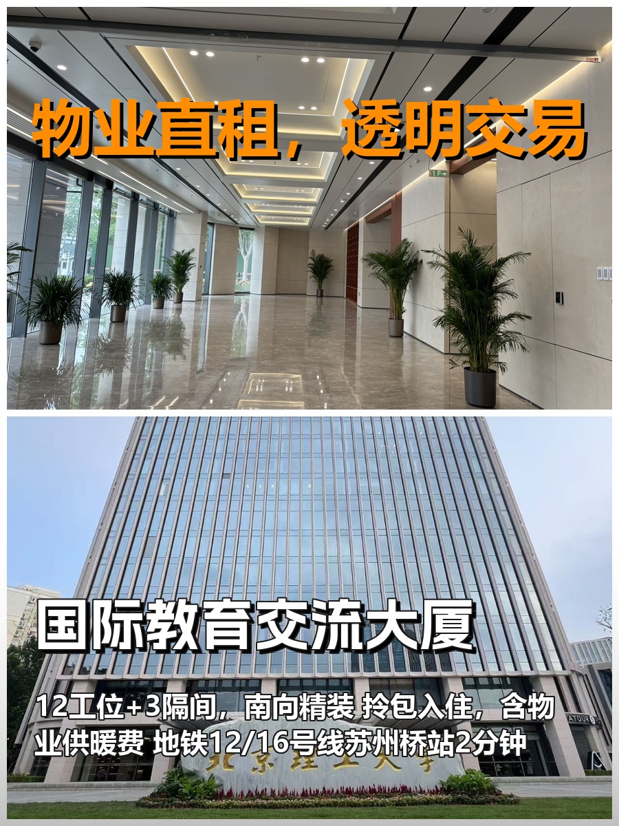国际教育交流大厦办公室实景