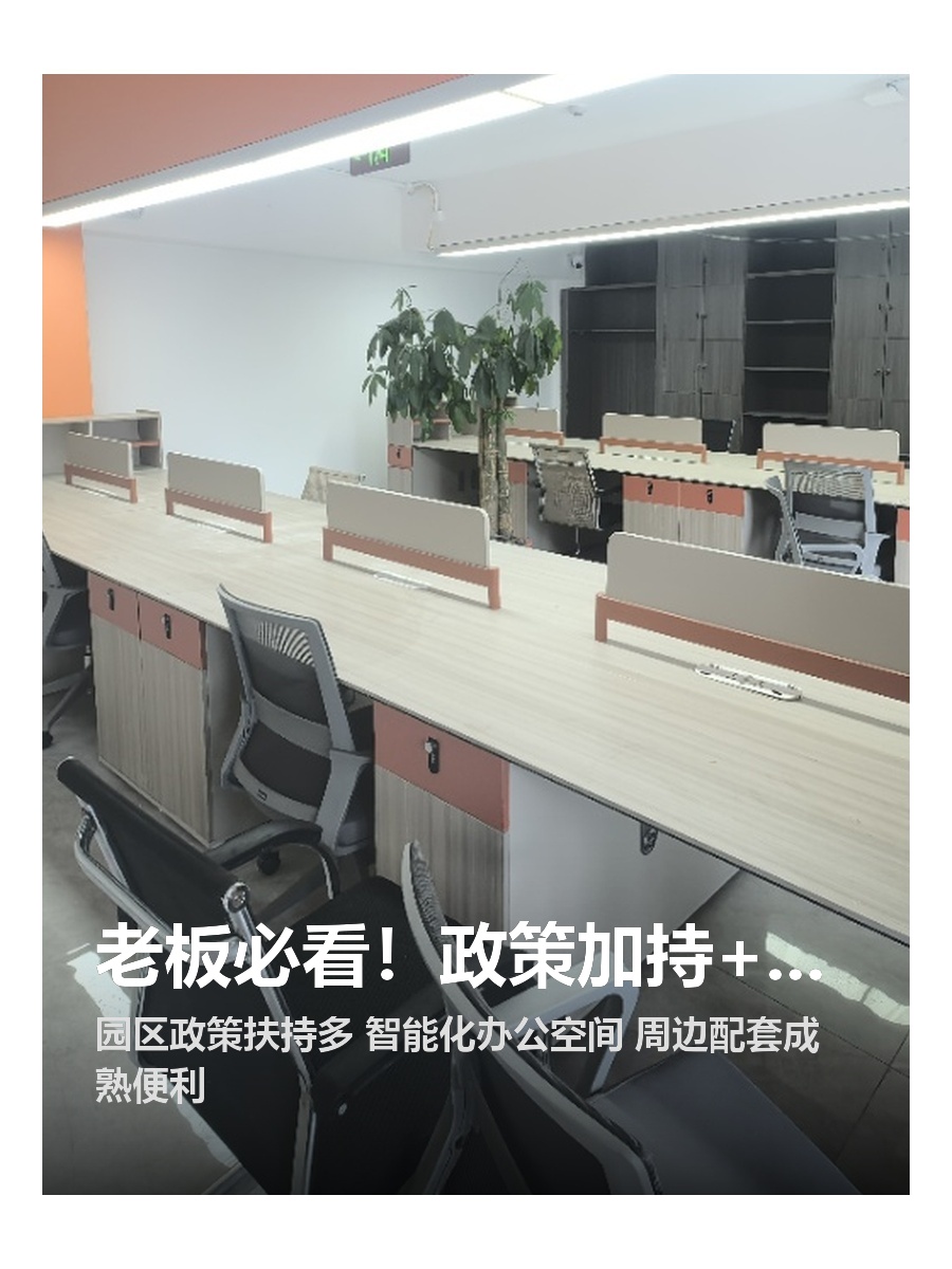 老板必看！政策加持+高配办公