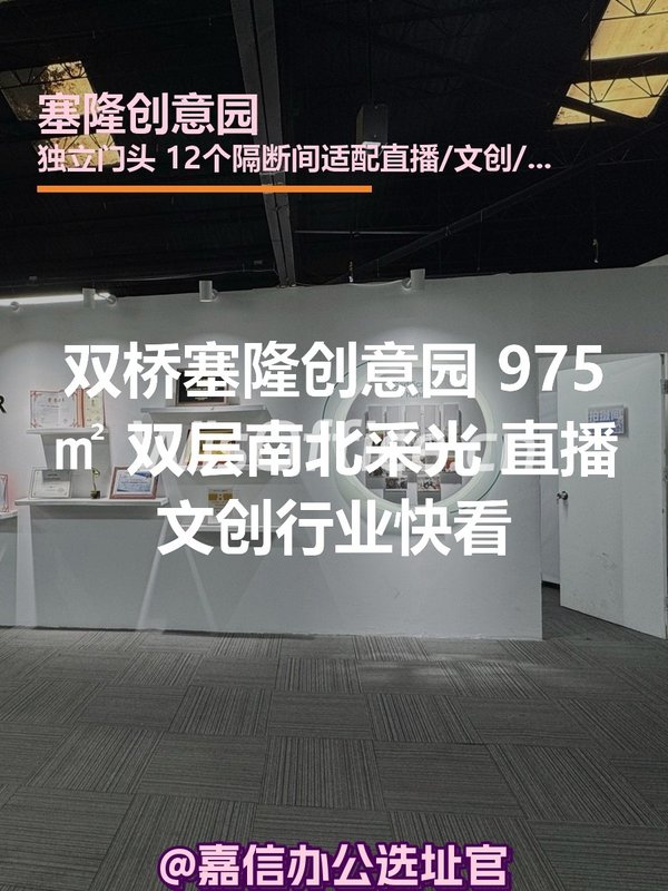 塞隆创意园 975㎡ 双层南北采光 直播文创 - 首图