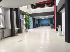 塞隆文创园双桥复式院落 - 缩略图 5