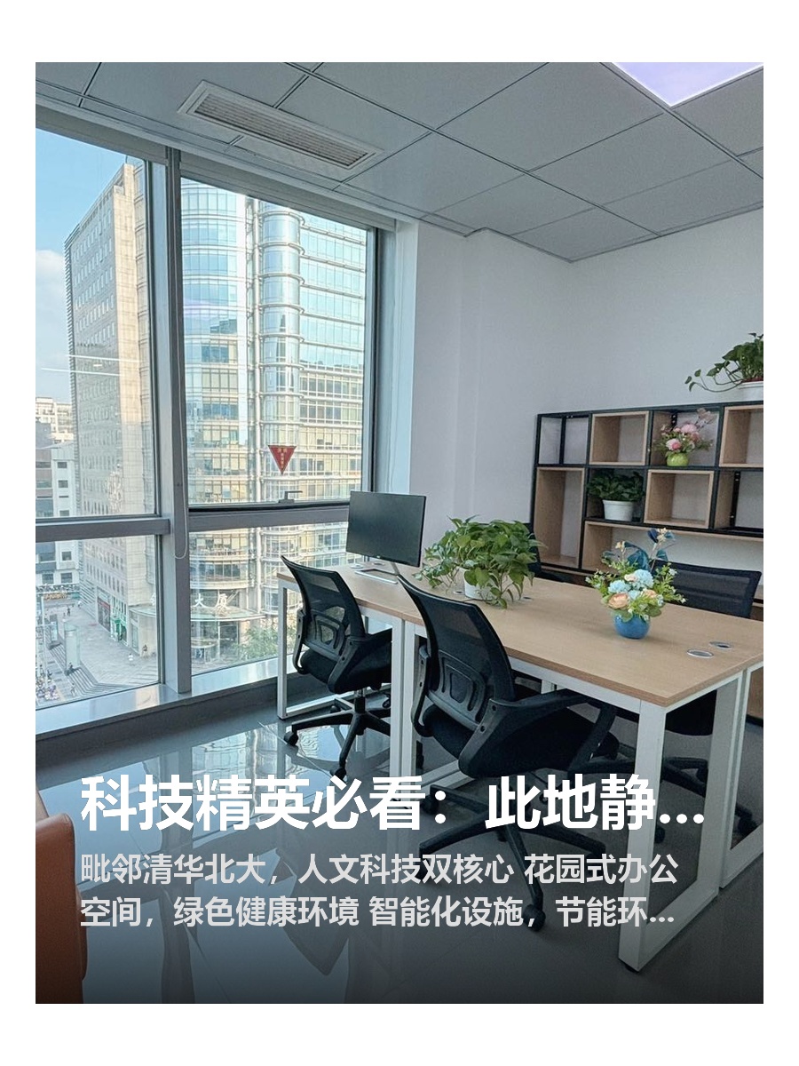 科技精英必看：此地静水深流，潜力无限