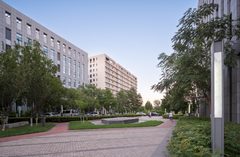 亦庄独栋租金低至奶茶价 - 缩略图 5