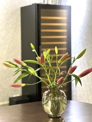 大望路独栋会所 办公两不误 - 缩略图 5