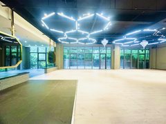 推荐亦庄480平带花园健身房 - 缩略图 9