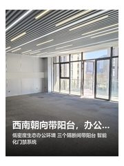西南朝向带阳台，办公空间新体验 - 缩略图 1