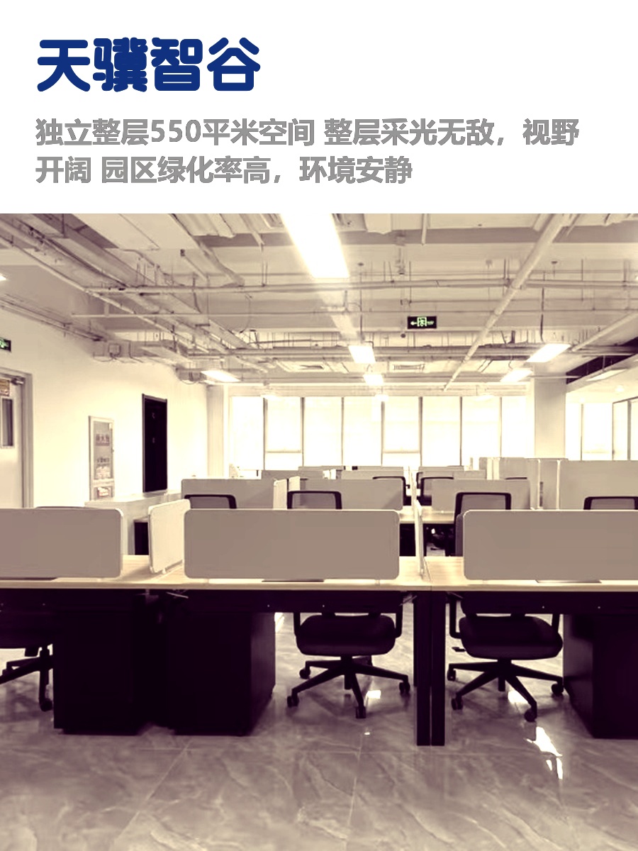 550平整层办公室，采光太舒服了