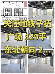 北湖渠路现房 329平 东北朝向 2隔断 - 缩略图 1