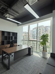 北湖渠路 | 子拓国际 | 花园办公？ - 缩略图 6
