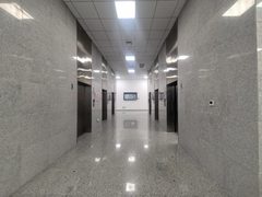 北湖渠路 | 子拓国际 | 花园办公？ - 缩略图 16