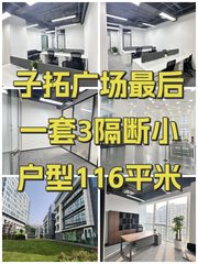 北湖渠路116平 西向采光 15号线直达 - 缩略图 1