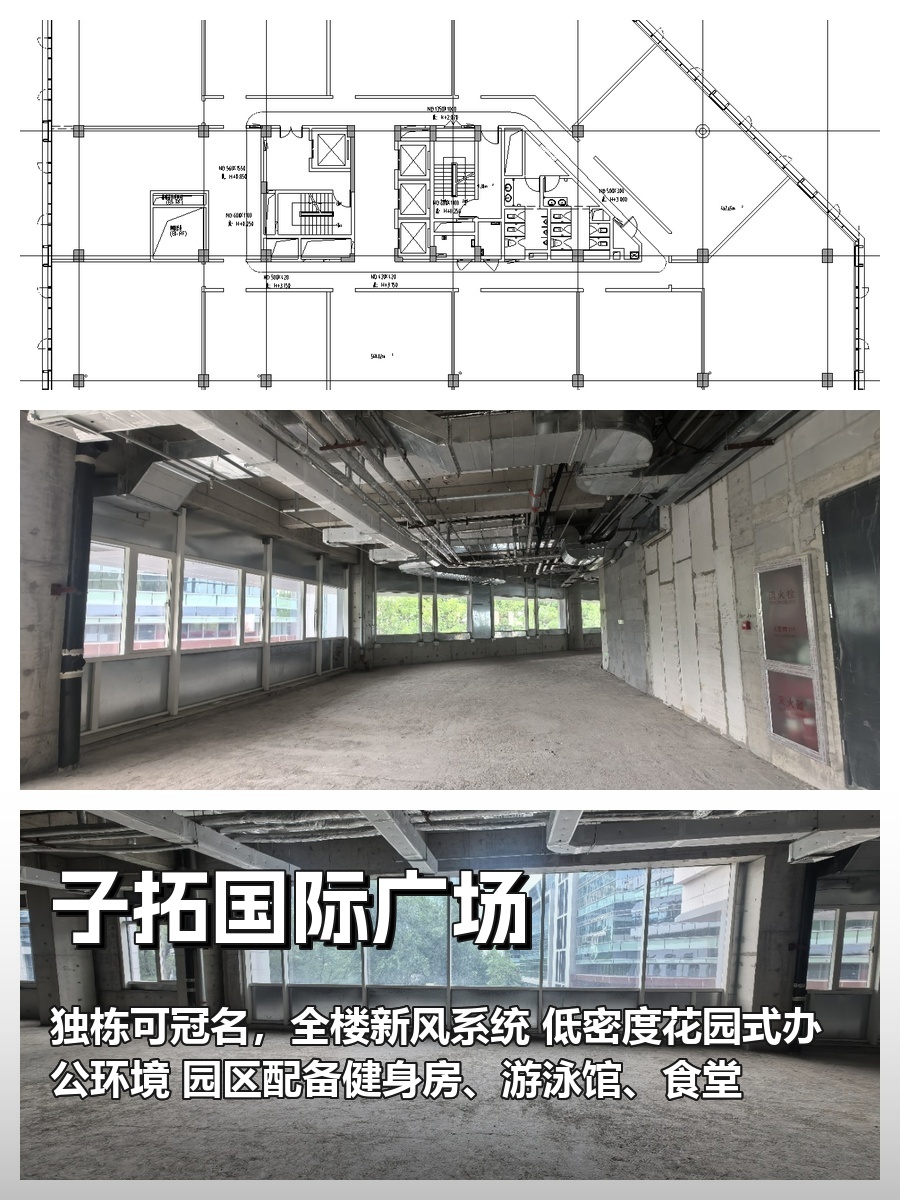 7500㎡独栋办公，全楼新风+花园式设计