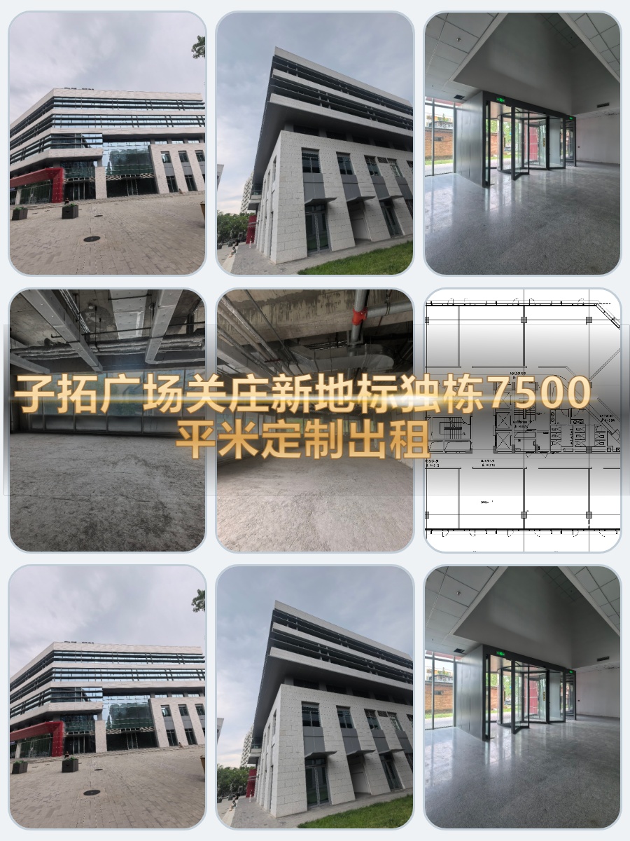 独栋花园办公，新风系统太绝了