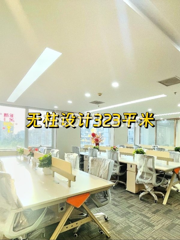 富力双子座323平 无柱设计 双井 - 首图