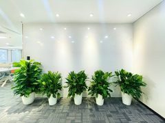 富力双子座323平 无柱设计 双井 - 缩略图 2