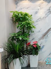 CBD现房 富力双子座200平 双井双地铁 - 缩略图 8