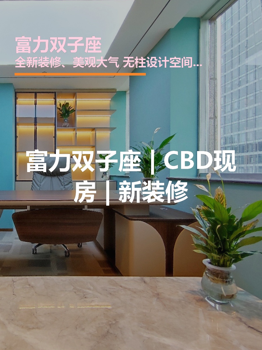 富力双子座 | CBD现房 | 新装修