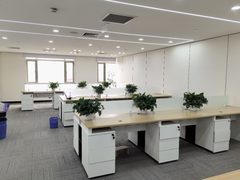 真房｜寰太大厦 |49工位｜面议｜高效团队必备 - 缩略图 4