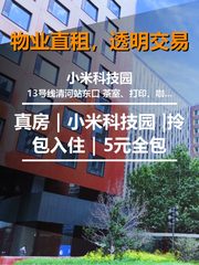 小米科技园办公室实景图 1