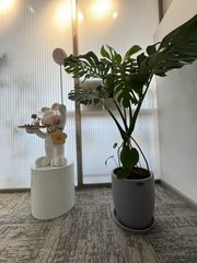 选办公室别只算租金，补贴更重要 - 缩略图 10