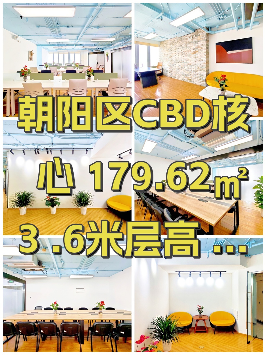 朝阳区CBD核心 179.62㎡ 3.6米层高 精装现房
