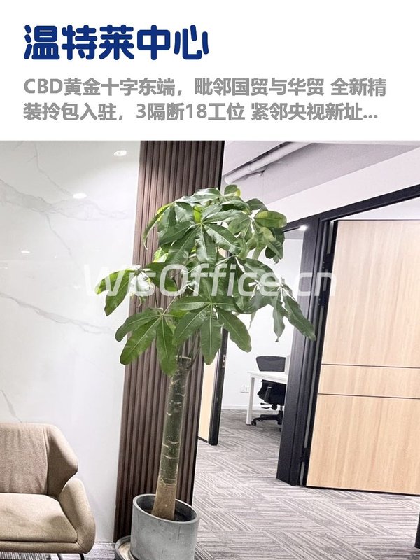 CBD核心区，租金低至一杯咖啡价 - 首图