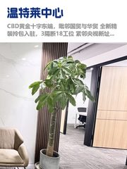 CBD核心区，租金低至一杯咖啡价 - 缩略图 1