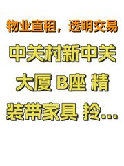 中关村新中关大厦 B座 精装带家具 拎包入驻 - 缩略图 1