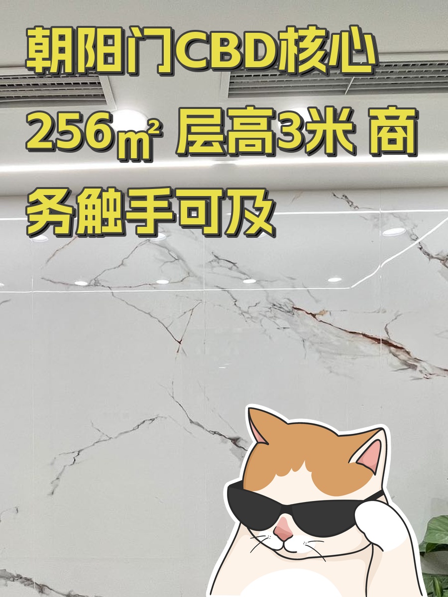 朝阳门CBD核心 256㎡ 层高3米 商务触手可及
