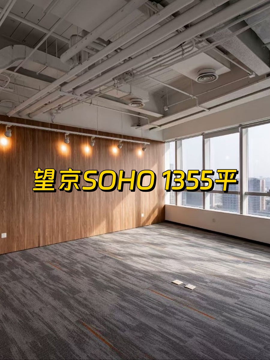 望京SOHO 1355平 整层精装 14隔断