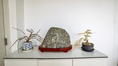 真房｜望京SOHO |243平｜3.88元｜这景观办公值不值？ - 缩略图 12