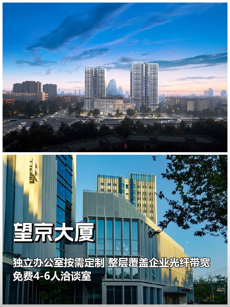 望京大厦 灵活办公 紧邻地铁