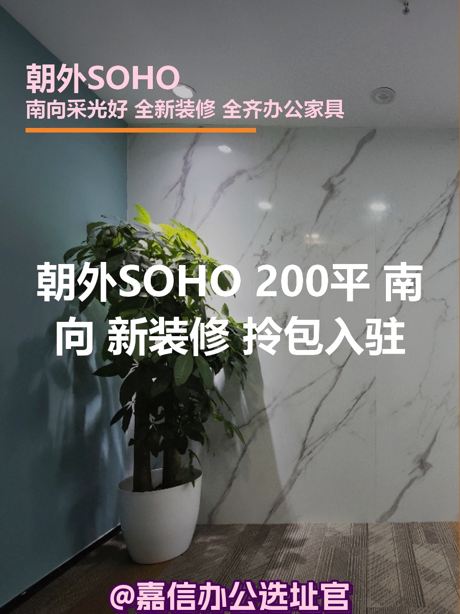 朝外SOHO 200平 南向 新装修 拎包入驻