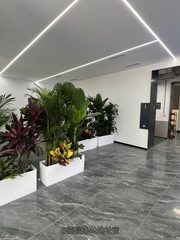 朝阳双桥精装办公室办公室实景图 2