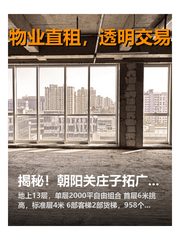 揭秘！朝阳关庄子拓广场的商业传奇 - 缩略图 1