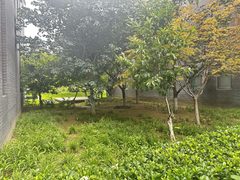 亦庄枢密院 330㎡ 会所带露台 临街入口 - 缩略图 5