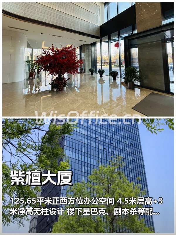 紫檀大厦125.65㎡实景图