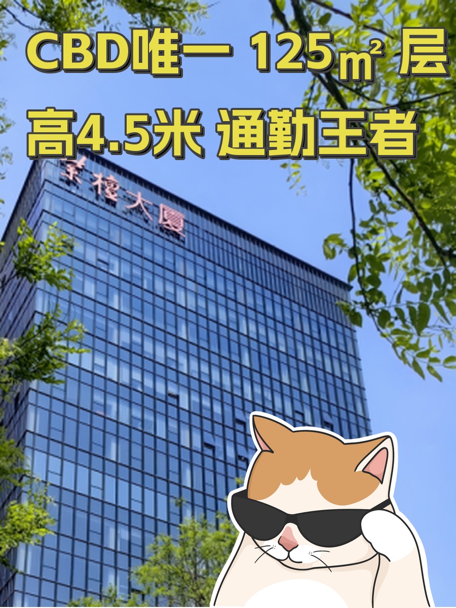 CBD唯一 125㎡ 层高4.5米 通勤王者