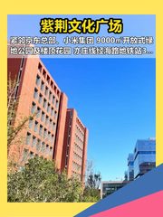 紫荆文化广场办公室实景图 1
