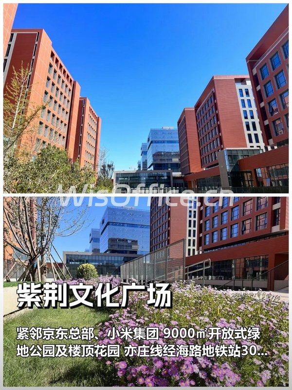 紫荆文化广场145㎡实景图