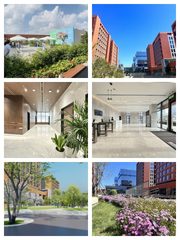 紫荆文化广场办公室实景图 1