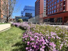 文化高地必看：京港融合新地标 - 缩略图 3