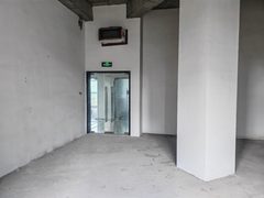 推荐绿地中央广场233㎡复式毛坯 - 缩略图 6