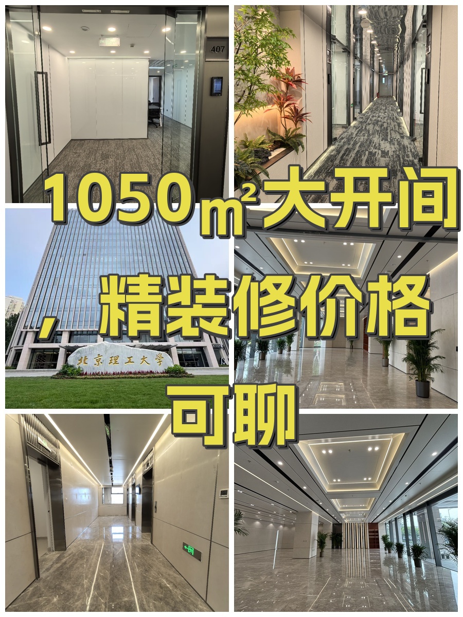理工国际教育交流大厦办公室实景