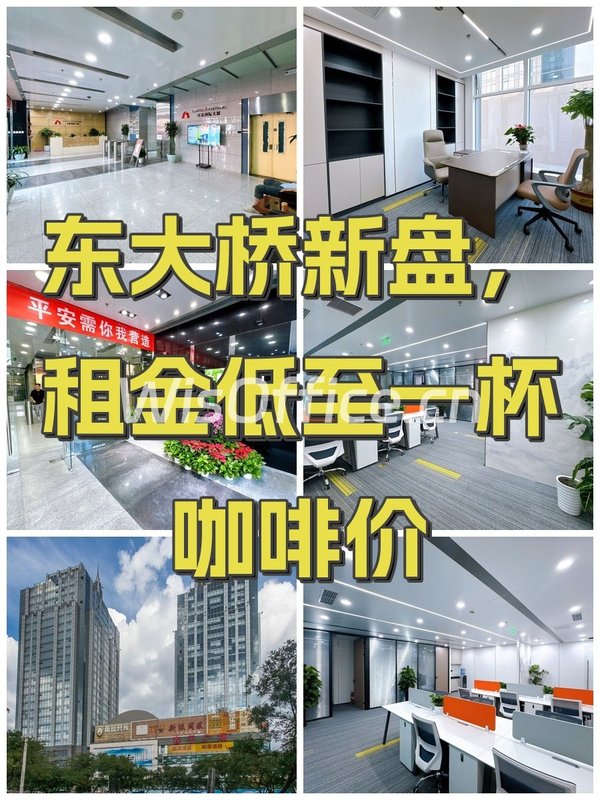 百富国际大厦189㎡实景图